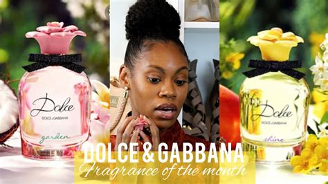 tj maxx dolce gabbana|Perfume .